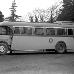 Bus
